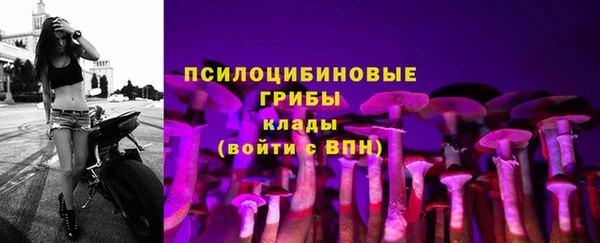 спиды Волосово