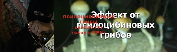 гашик Волоколамск